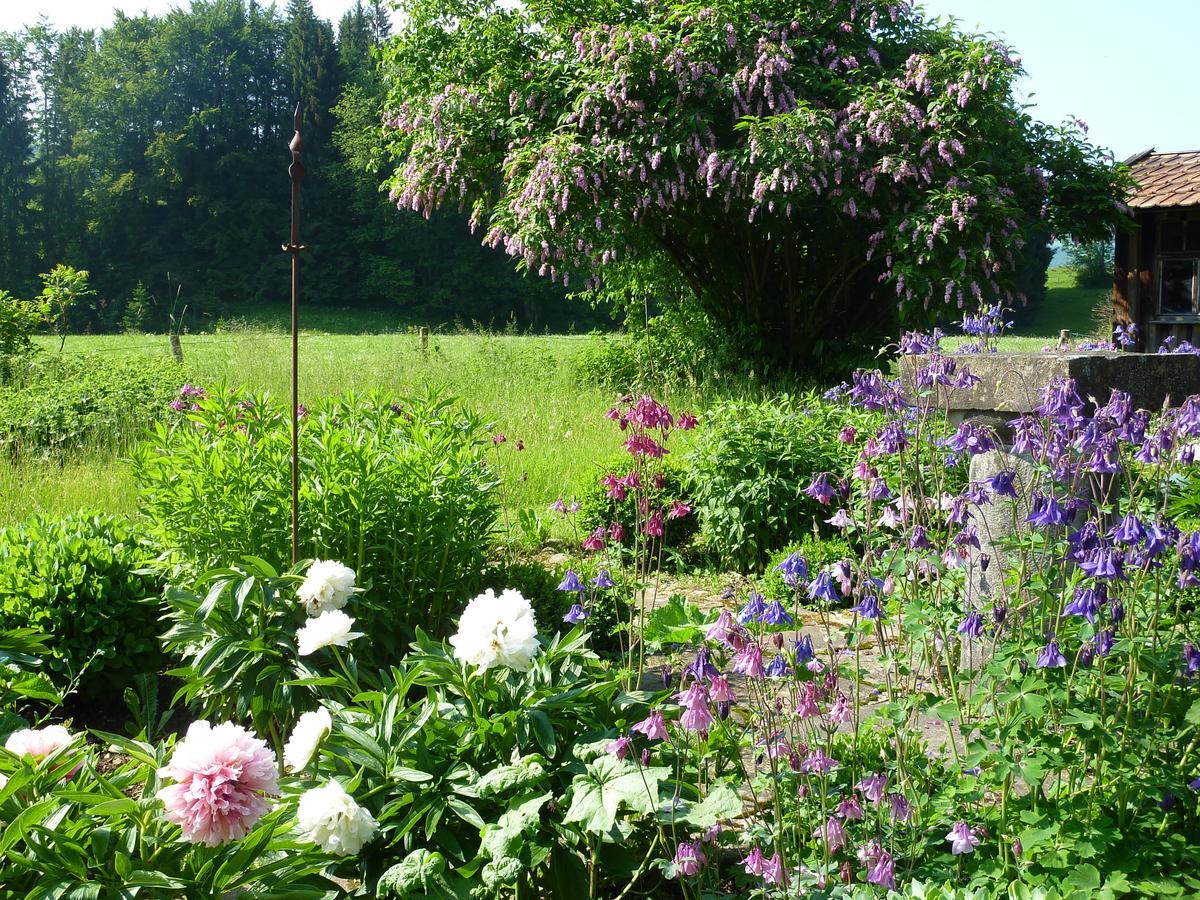 Traumgarten Allgaeu レッテンベルク エクステリア 写真